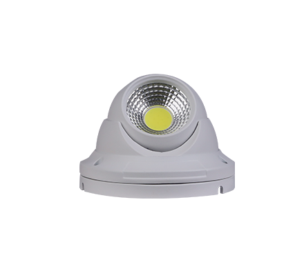 集中电源集中控制型消防应急照明灯具（吸顶照明灯）